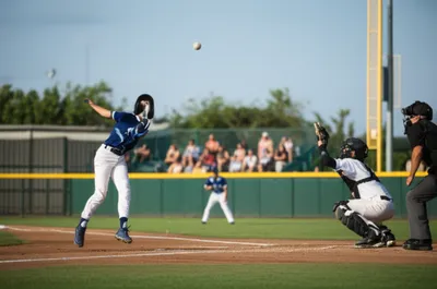 Illustration flies - Image 1