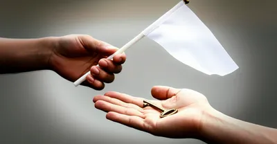 Illustration concessions - Image 1