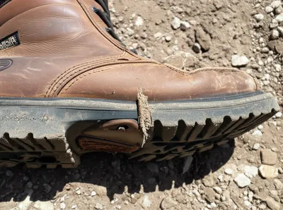 Illustration tramp - Image 1