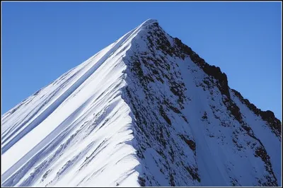 Illustration starker