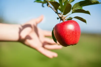 Illustration grabbed - Image 1