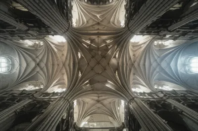 Illustration groined - Image 1