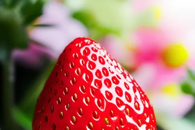 Illustration delectable - Image 1