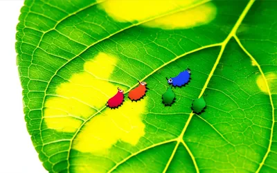 Illustration infested - Image 1