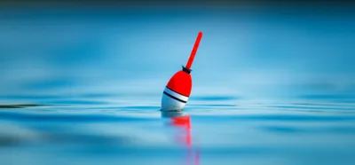 Illustration bobs - Image 1