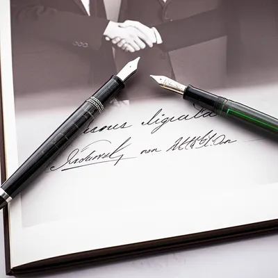 Illustration protocol - Image 1