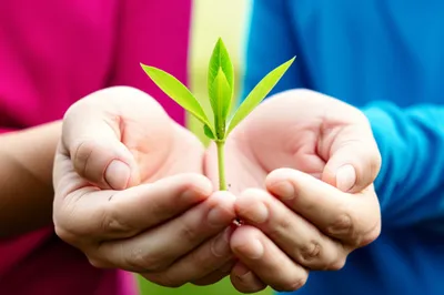 Illustration hold - Image 1