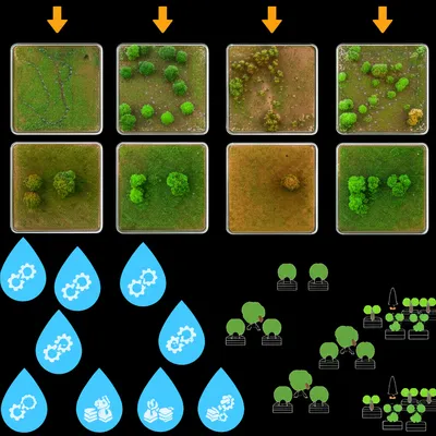 Illustration lot - Image 1