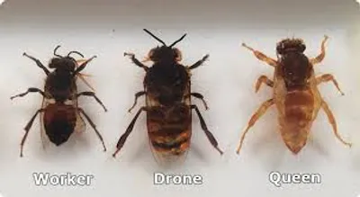 Illustration drone - Image 2