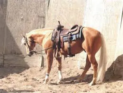 Illustration weed - Image 2