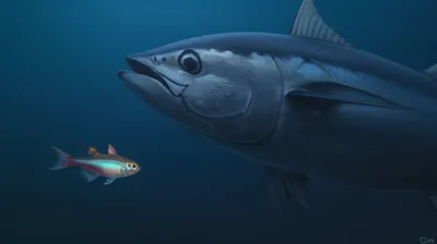 Hình ảnh minh họa guppy - Ảnh 1