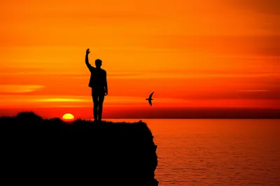 Illustration adieu - Image 1