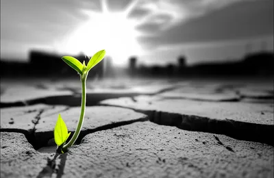 Illustration persisting - Image 1