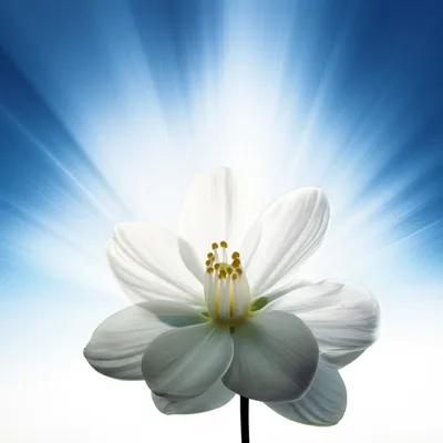 Illustration holy - Image 1