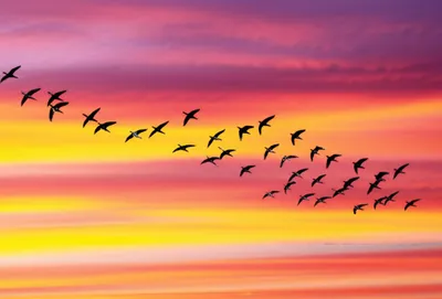 Illustration oftentimes