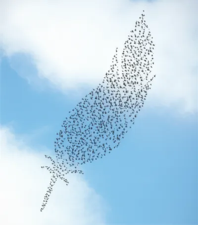 Illustration pens - Image 1