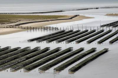 Illustration parking - Image 1