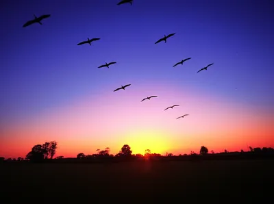 Illustration nightfall