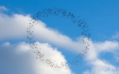 Illustration wheels - Image 1