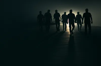 Hình ảnh minh họa follower - Ảnh 1