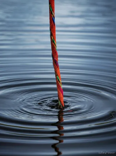 Illustration braided - Image 1