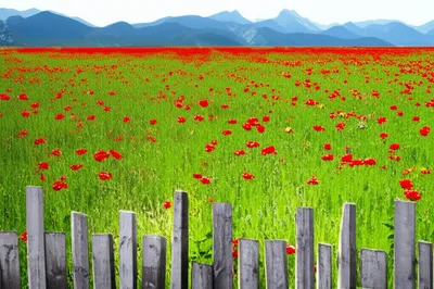 Illustration punctuate - Image 1