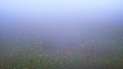 Illustration awash - Image 1