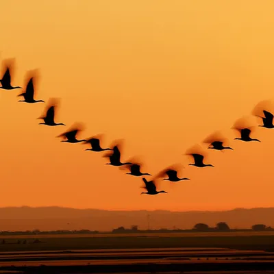 Illustration migrated - Image 1