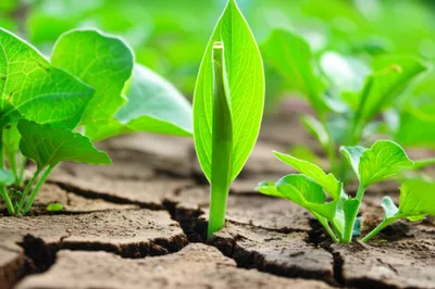 Illustration innovates - Image 1