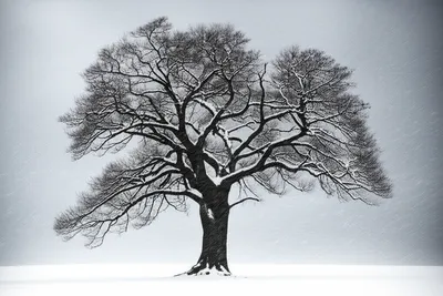 Illustration stronger - Image 1