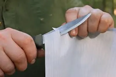 Illustration keen - Image 2