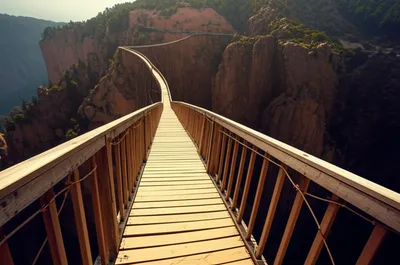 Illustration lengths