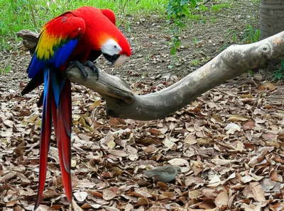 Illustration downcast - Image 1