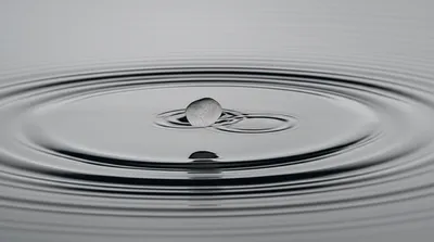 Illustration skipped - Image 1