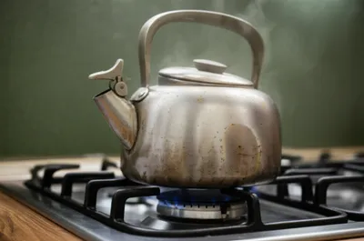 Illustration scold - Image 1