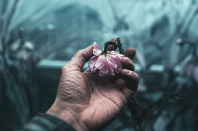 Illustration callosities - Image 1