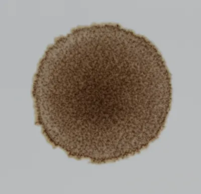 Illustration spot - Image 1