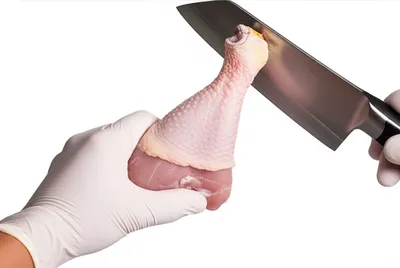 Illustration jointed - Image 1