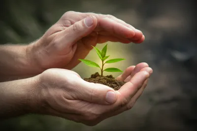 Illustration embraces - Image 1