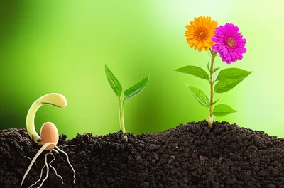 Illustration course - Image 1