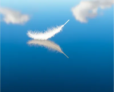 Illustration lite - Image 1