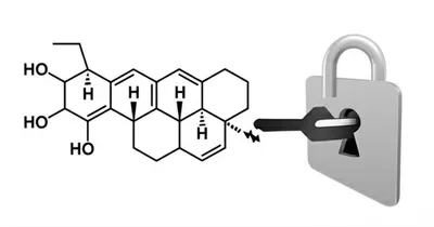 Illustration cannabinoid - Image 1
