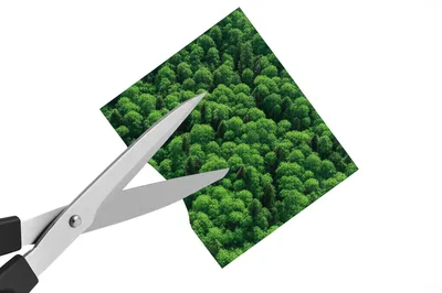 Illustration clips - Image 1