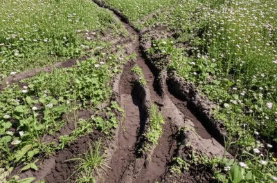 Illustration tramp - Image 1