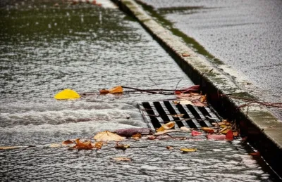 Illustration gullies - Image 1