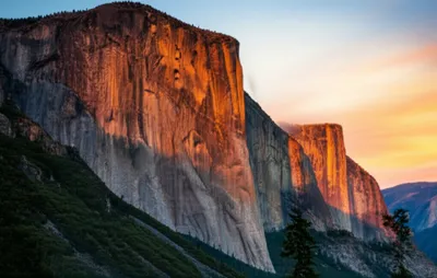 Illustration transparency - Image 1