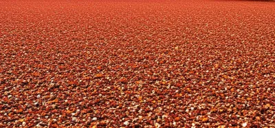 Illustration decks - Image 1