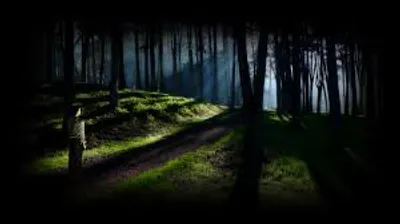 Illustration shadowy - Image 2