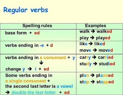 Illustration regular - Image 2