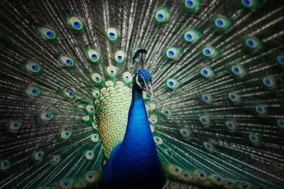 Illustration glitter - Image 1